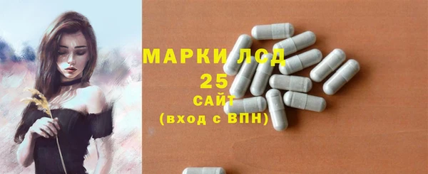 spice Покачи
