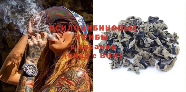 spice Покачи