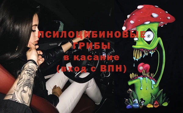 бошки Грязовец