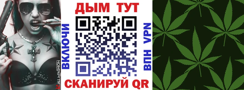 как найти закладки  Богучар  Шишки марихуана сатива 